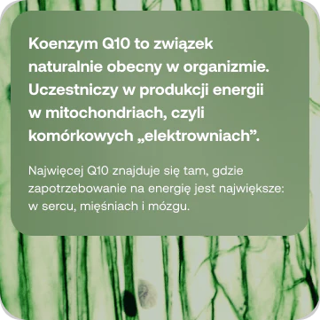 product_1.webp