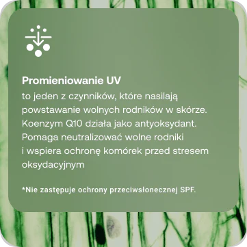 product_2.webp