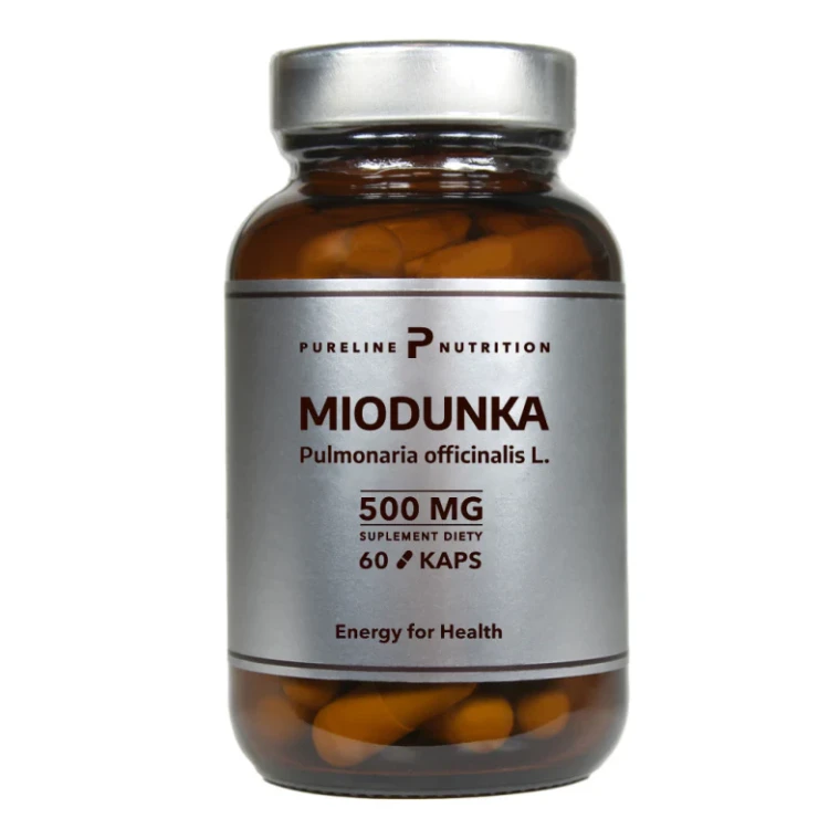 miodunka układ oddechowy